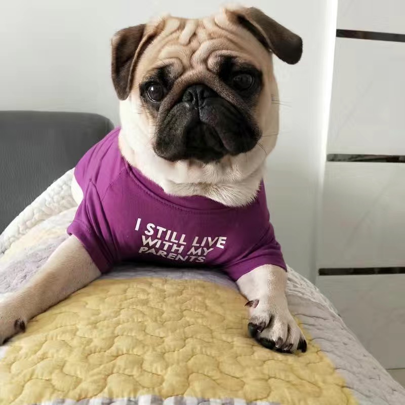 Fashion French Bulldog Pug Ves - Summer Clothing In French avaliação e preço
