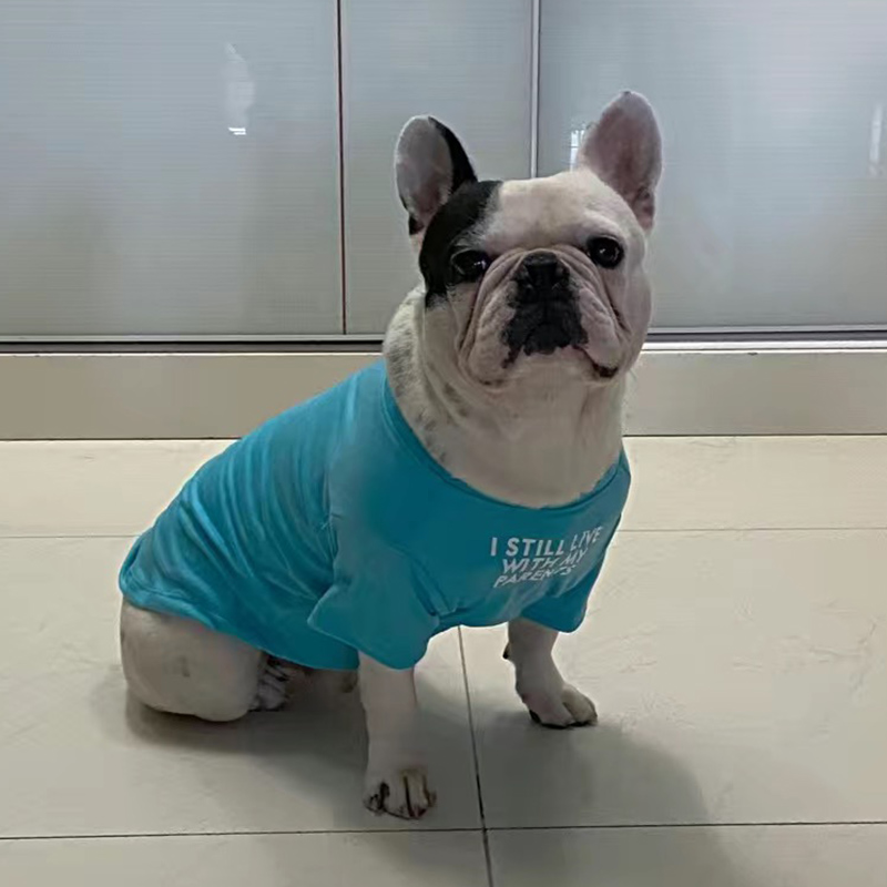 Fashion French Bulldog Pug Ves - Summer Clothing In French avaliação e preço