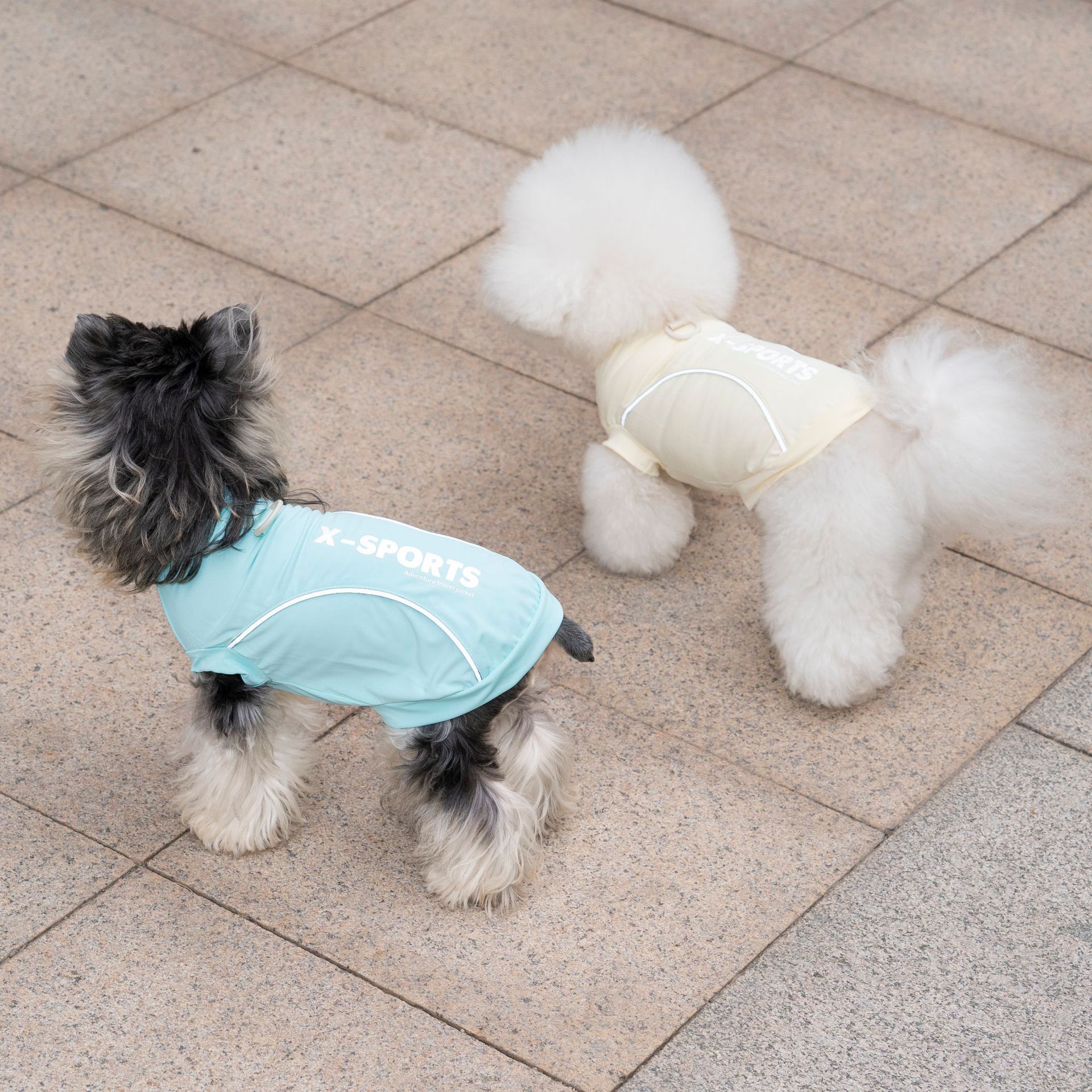 Pet Dog Clothing For Spring Su - Summer Clothing Cheap avaliação e preço