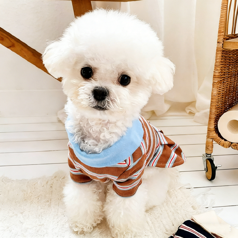 Dog Clothes Summer Striped Dog - Summer Clothing In French avaliação e preço